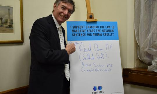 Philip Dunne pledges support to increase maximum sentences for animal cruelty.